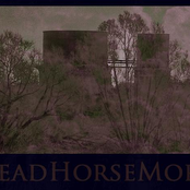 Deadhorsemort