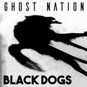 Black Dogs