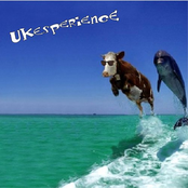 ukesperience