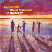 Ladysmith Black Mambazo: In Harmony