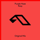 Purple Haze: Rosy