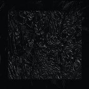 Light / Fire / Lemons