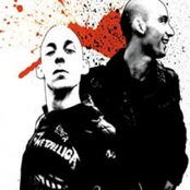 Sound Of Young New York