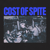 Cost of Spite