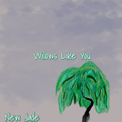 Willows Like You