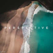 Perspective