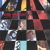 Bird Mancini: Year of Change