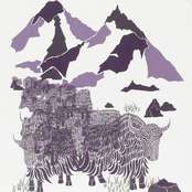 Non Meters Volume One