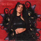 Hey Gata