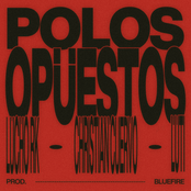 Polos Opuestos