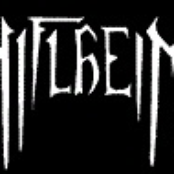 niflheim (aus)