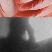 Off the Coast of Consideration