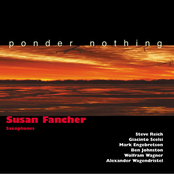 Fancher, Susan: Ponder Nothing