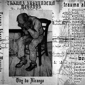 Ody do Niczego - split