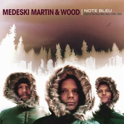 Medeski, Martin and Wood: Note Bleu: The Best Of. . .