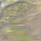 Wall Disney / Hana Haruna