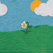 Claire Ernst: Flowers