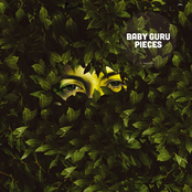 Necessary Voodoo by Baby Guru