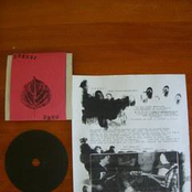 Deers!/Matsuri Split