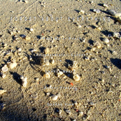 forget about everything