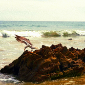 unreleased (2007-2025)