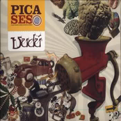 Pica Seso