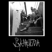 Psykonauterna