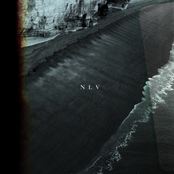 NLV
