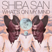 Shiba San: What’s On My Mind