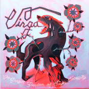 The Perfect Freedom of Single Necessity - EP