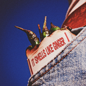 IT SMELLS LIKE GINGER pt.1 [Explicit]