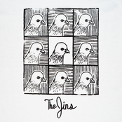 The Jins: The Jins