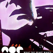 What the Heart Wants