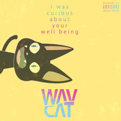 I Was Curious About Your Well Being