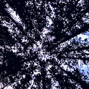 Light My Way [Into the Void]