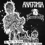 Anatomia/Decrepitaph (Split)