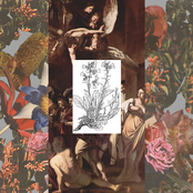 Juniper Lyrics Chords By Begonia