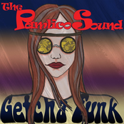 The Pamlico Sound: Getcha Funk - EP