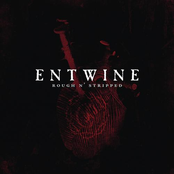 Another Life by Entwine