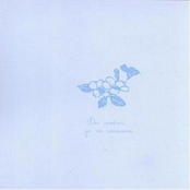 des cendres je me consumme