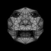 Maximum Bitterness Has Been Achieved