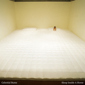 Sleep Inside a Horse