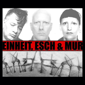 einheit, esch & mur