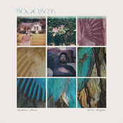 Bowerbirds: Endless Chase: 2020 Singles