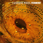 Ferment by Catherine Wheel