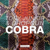 Cobra - Single