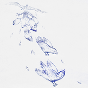 oh, deer! / violence for hurley split