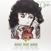 Amo non amo