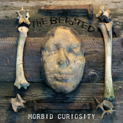 Morbid Curiosity