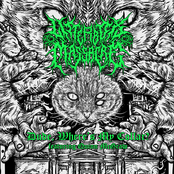 Dude, Where's My Collar?